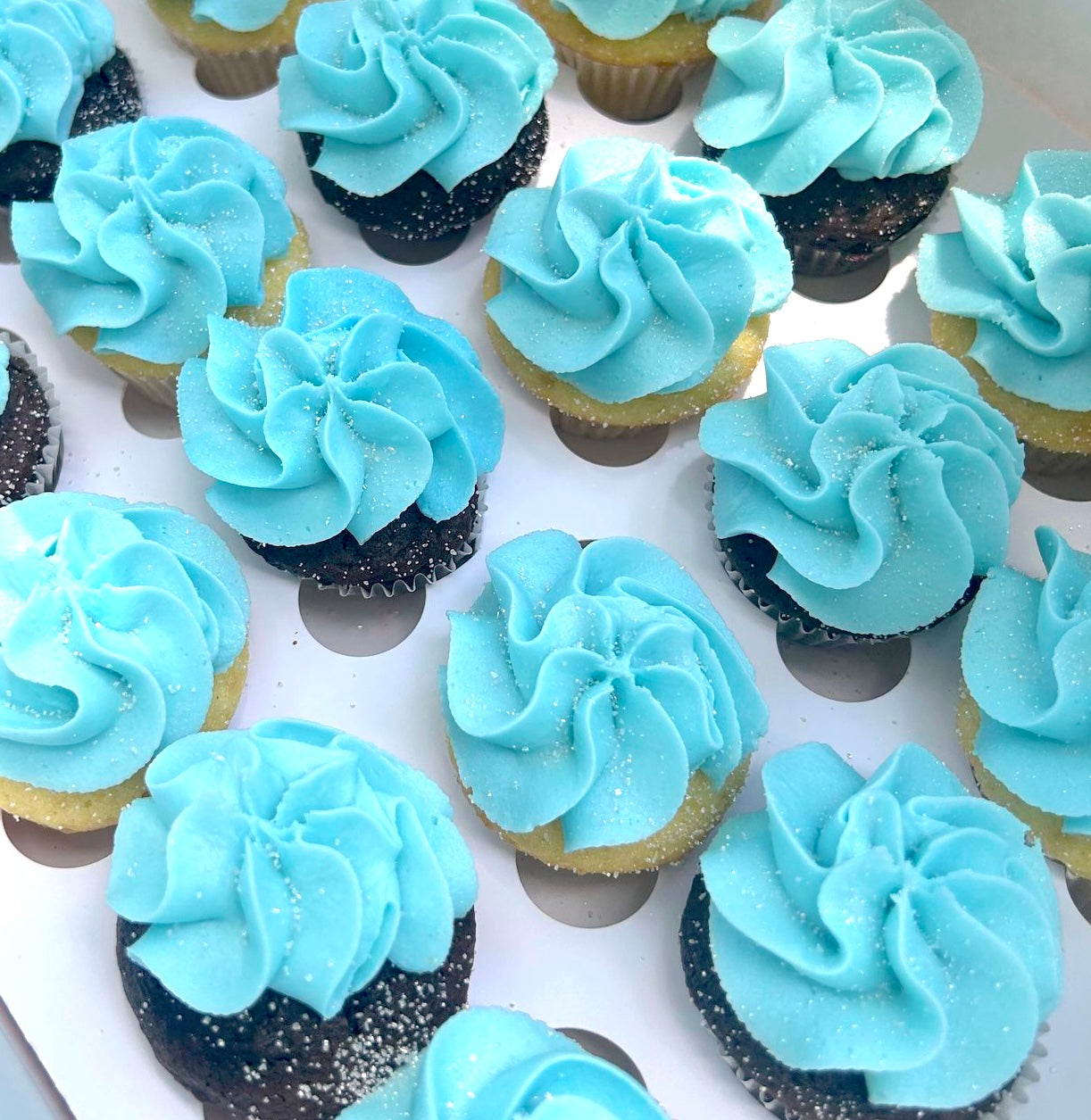 Mini cupcake catering box with light blue frosted mini cupcakes.