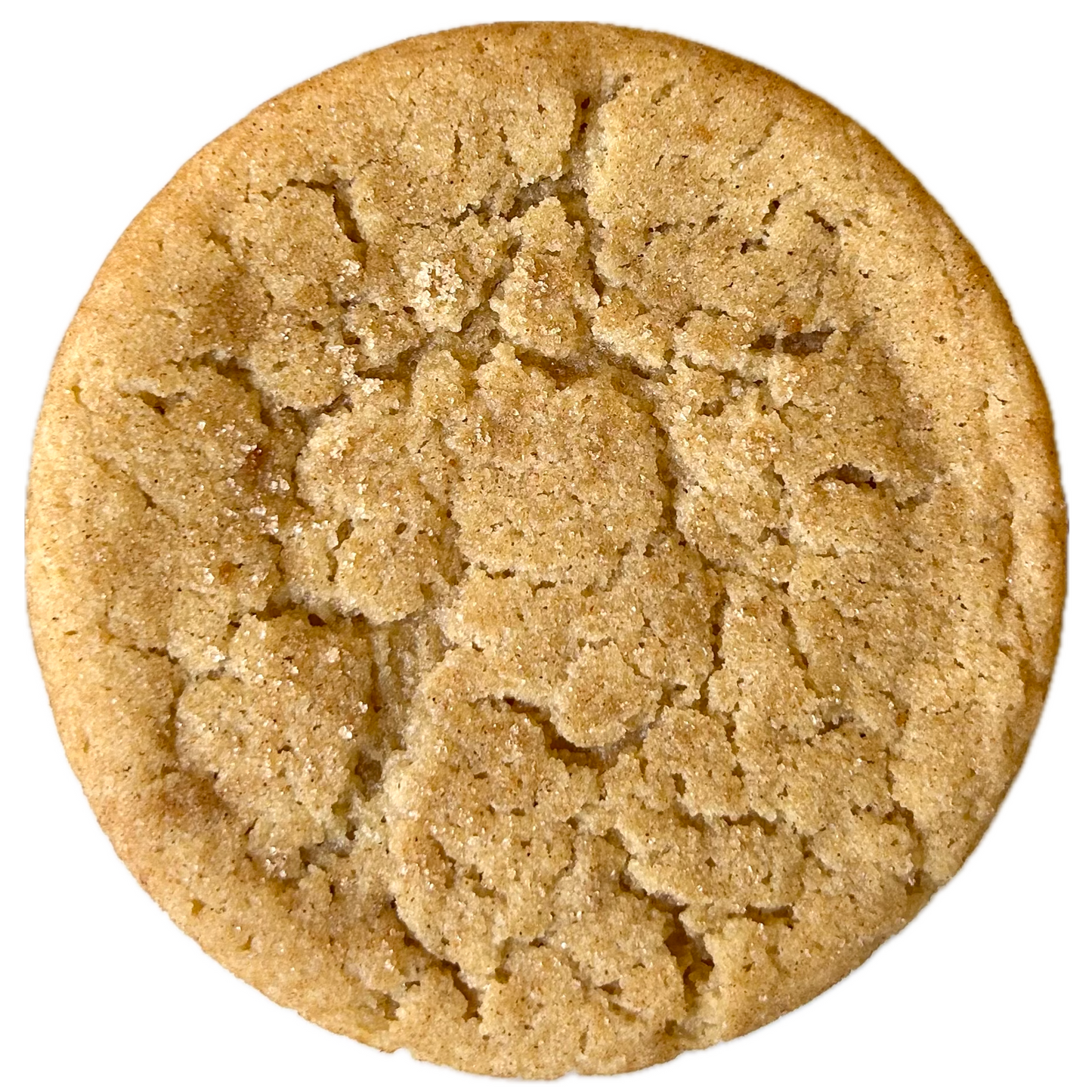 Snickerdoodle Cookies