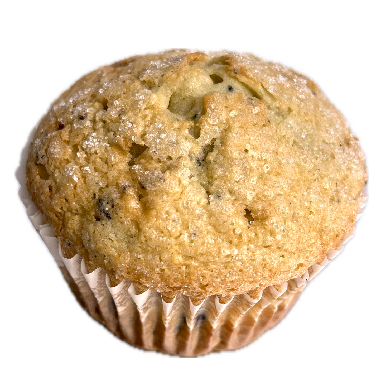 Blueberry Muffins