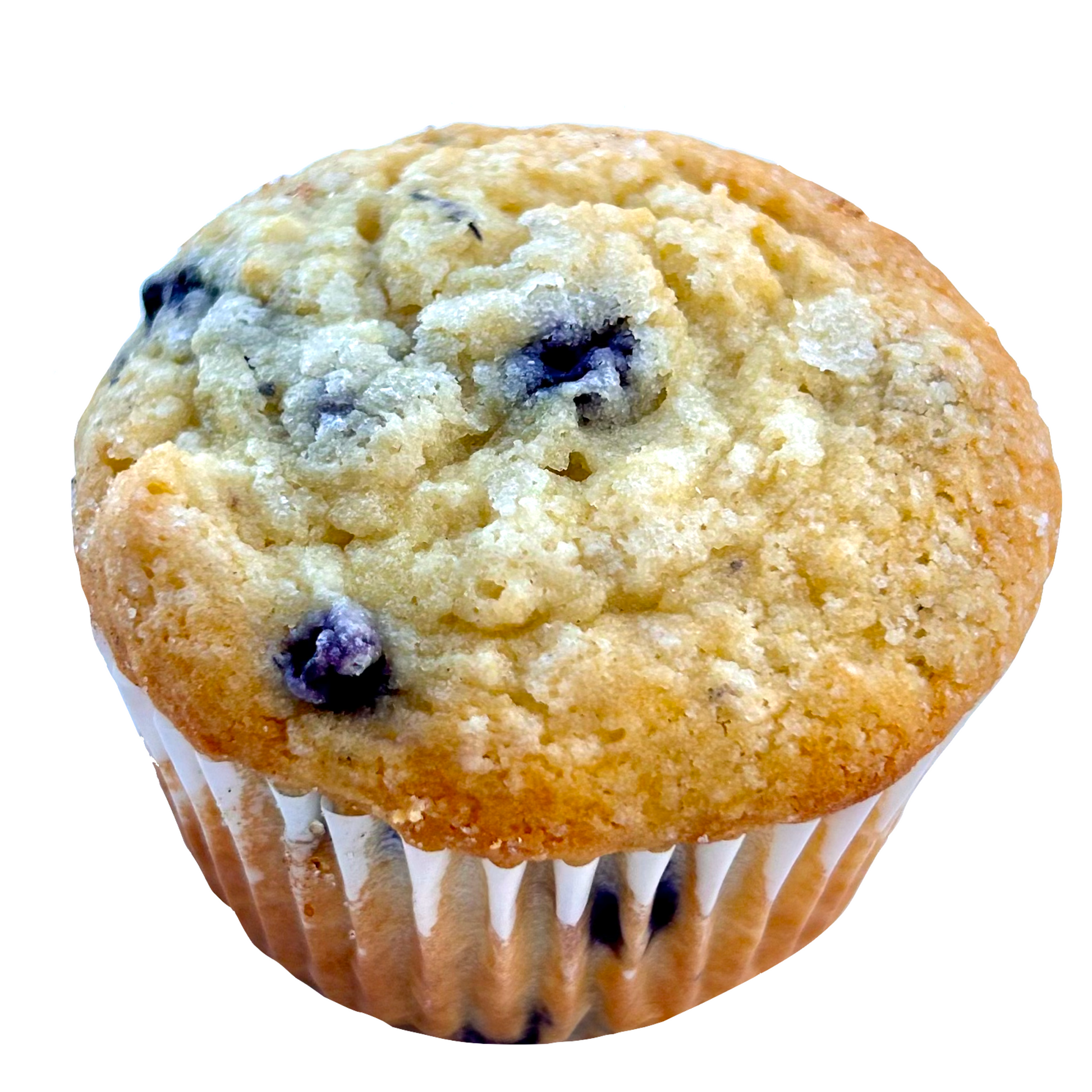 Blueberry muffin with sugared crumb top in a paper liner.