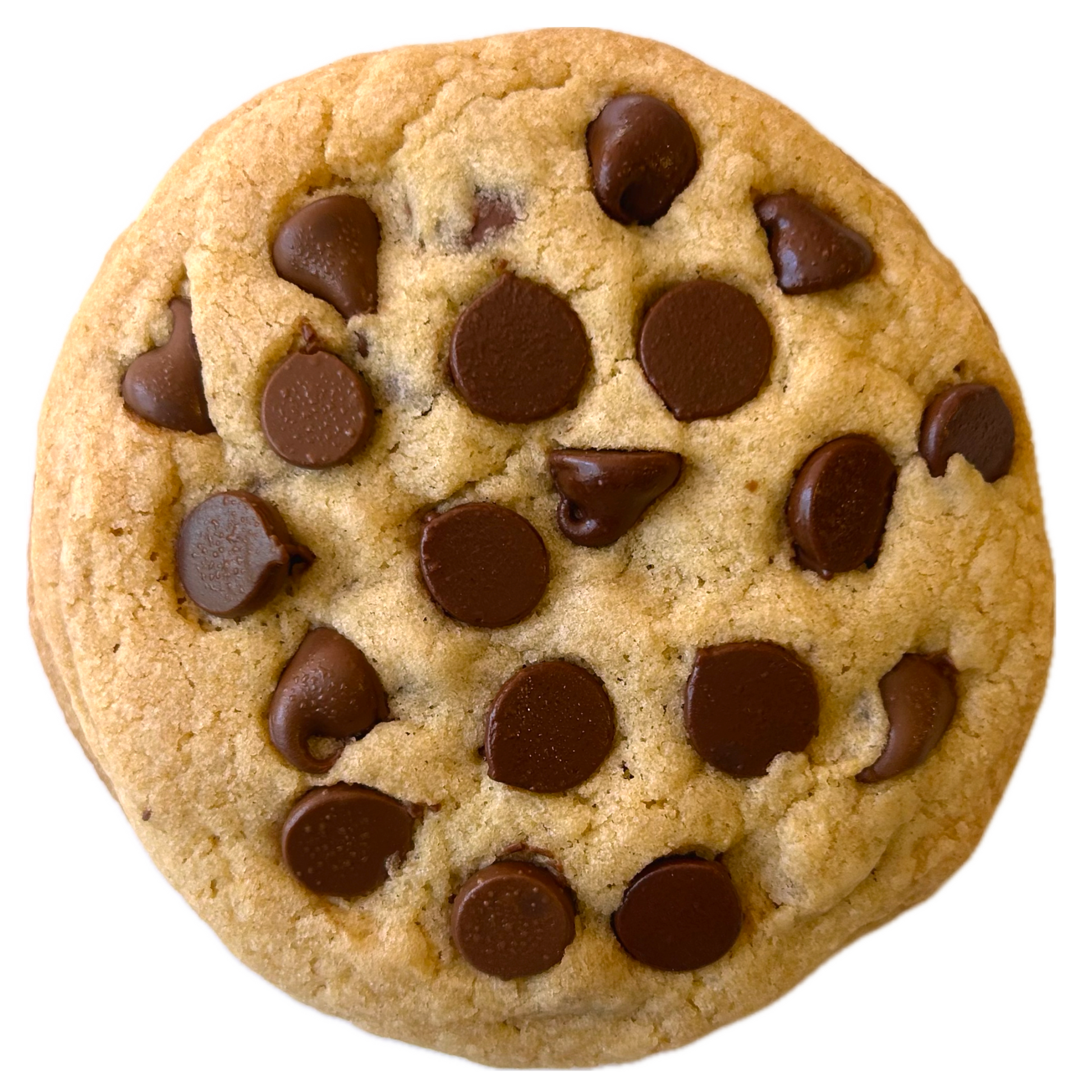Classic chocolate chip cookie with chocolate chips.