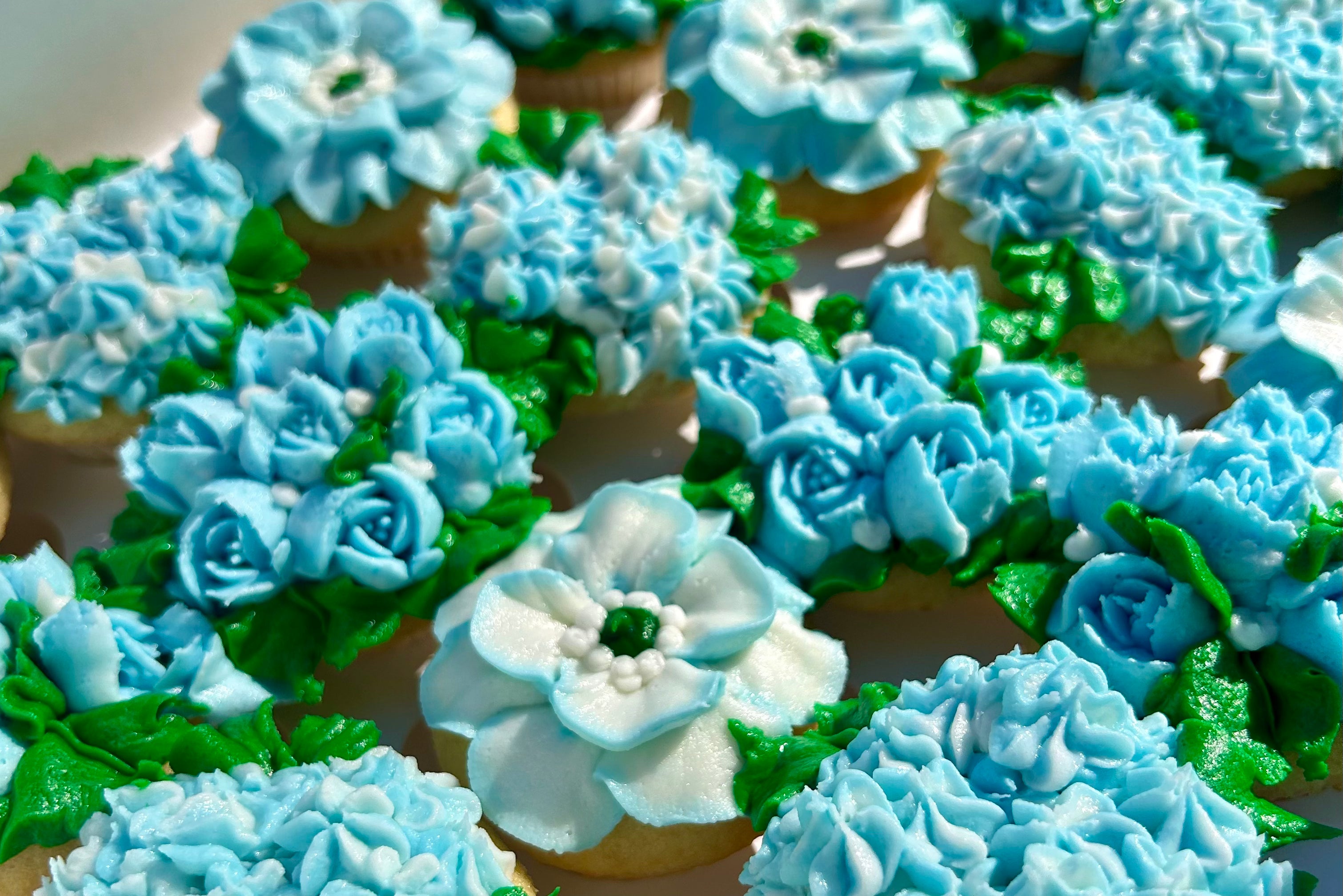 Cupcakes decorated with light blue and white floral frosting and green leaves.