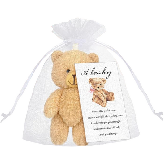 Mini teddy bear gift bag with “A bear hug” card.