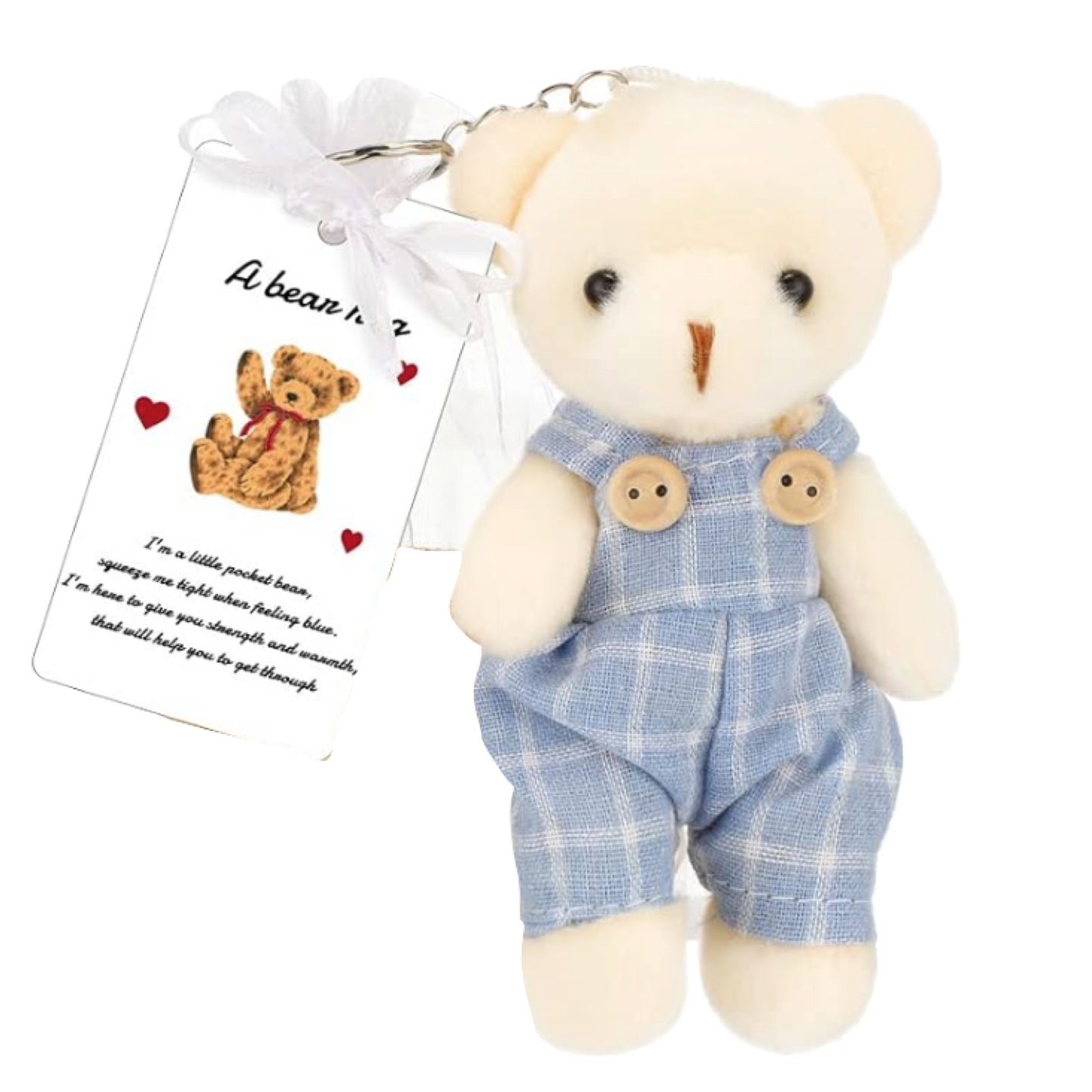 Mini teddy bear gift bag with “A bear hug” card.