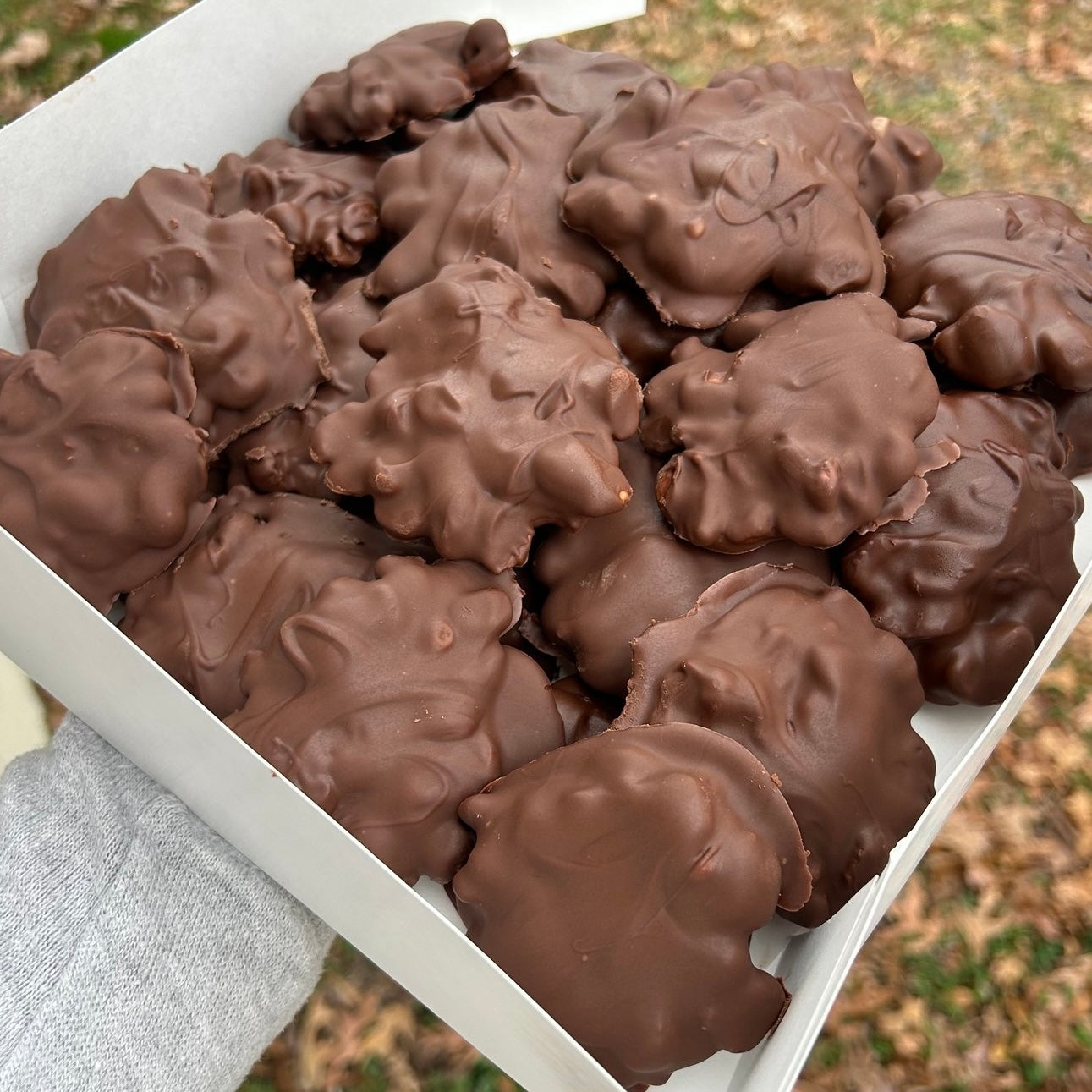 Vegan chocolate peanut clusters.
